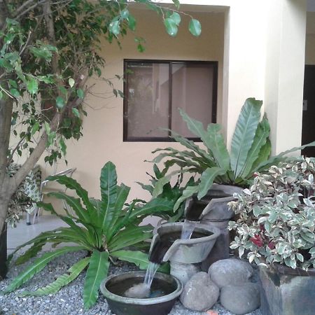 באקולוד 11Th Street Bed And Breakfast מראה חיצוני תמונה