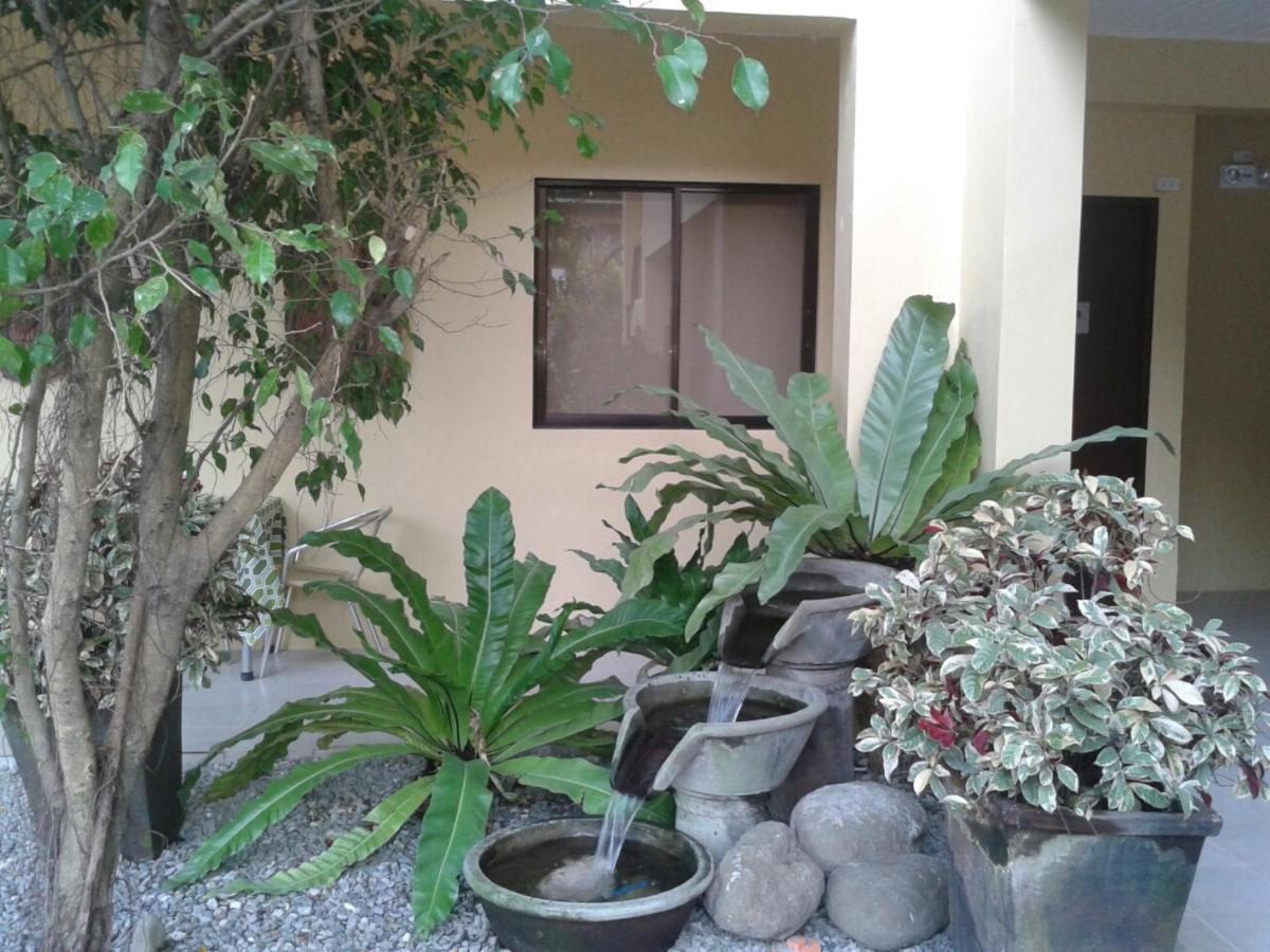 באקולוד 11Th Street Bed And Breakfast מראה חיצוני תמונה